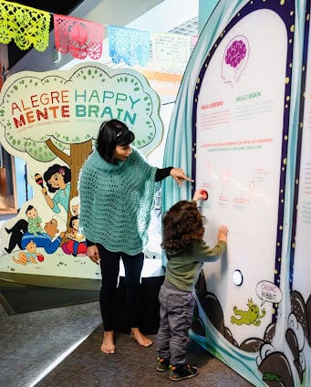 The exhibition shares information about early brain development and brain-building tips for caregivers.